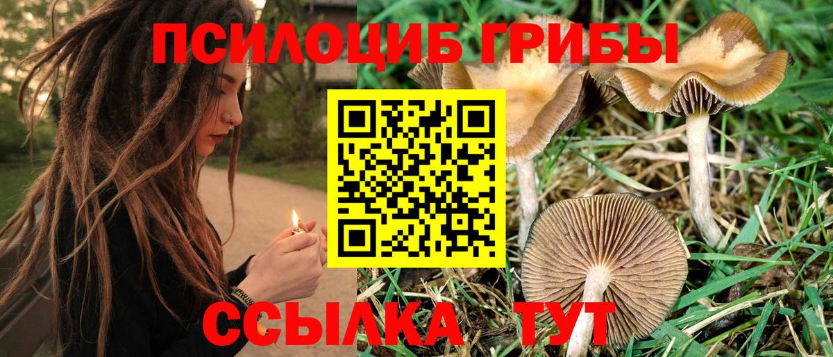 Ливны  купить наркоту  Вход с VPN  Галлюциногенные грибы Magic Shrooms 