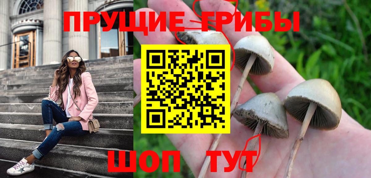 Псилоцибиновые грибы ЛСД Ливны